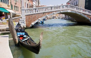 Passeggiata “Benessere”: Tour naturalistico